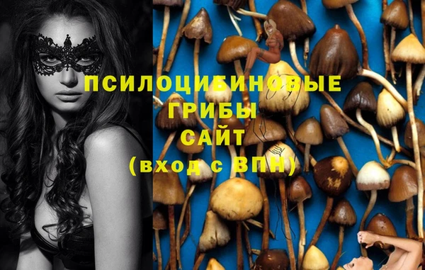 прущая мука Пролетарск