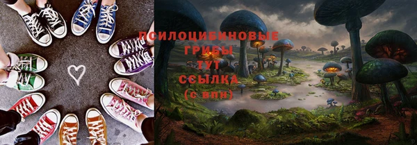 PSILOCYBIN Иннополис