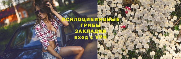 мяу мяу мука Инта